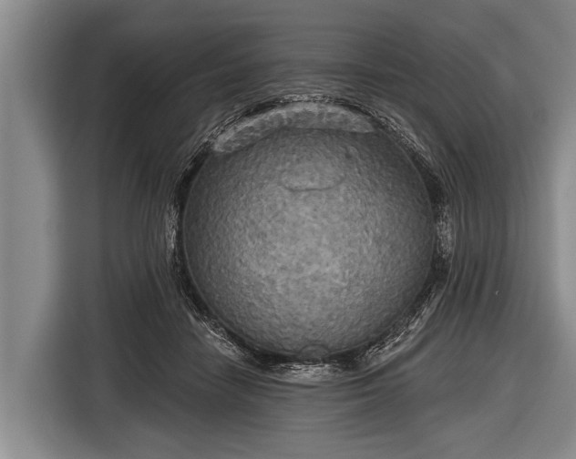 X0000116850458200912291243