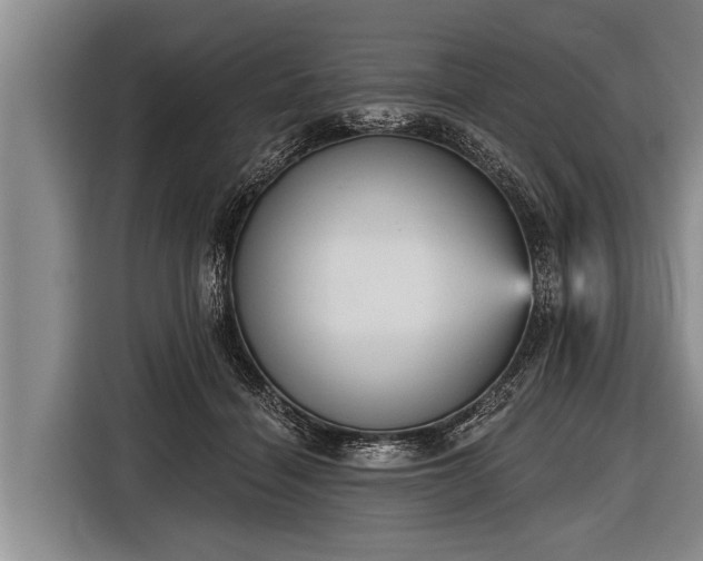 X0000116850460200912291243