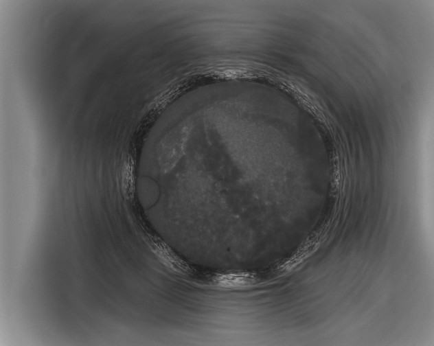 X0000116850461200912291243