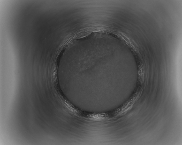 X0000116850462200912291243