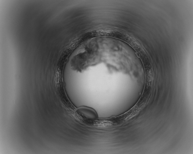 X0000116850463200912291243