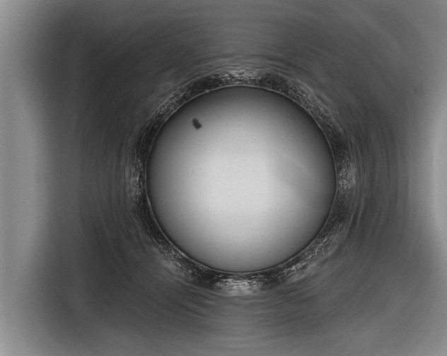 X0000116850464200912291243