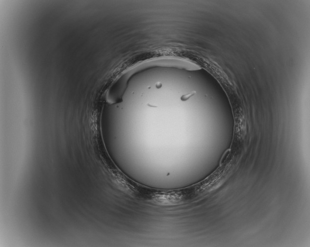 X0000116850466200912291243