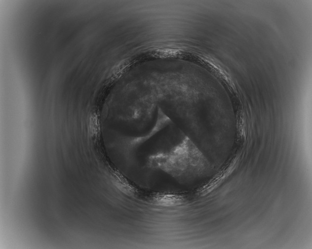X0000116850467200912291243