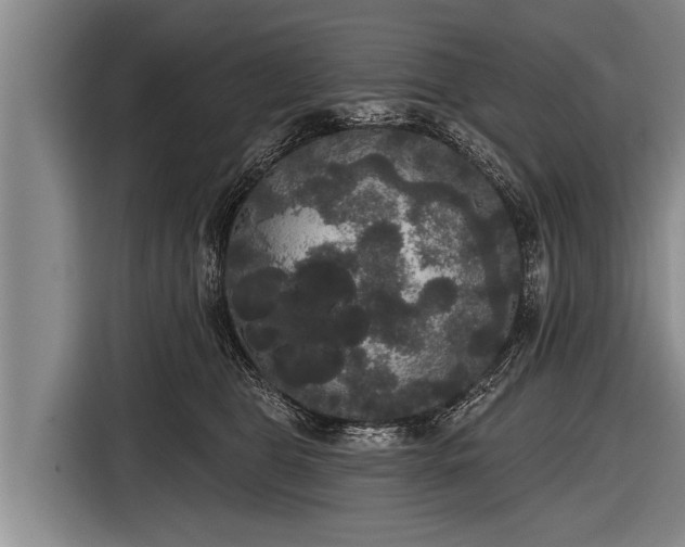 X0000116850469200912291243