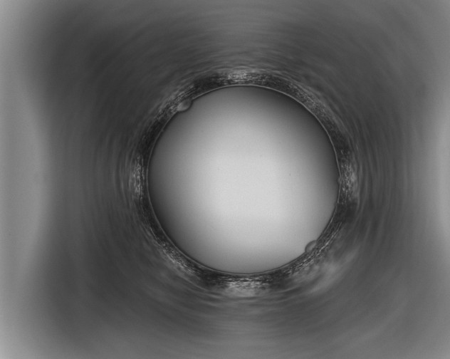 X0000116850470200912291243