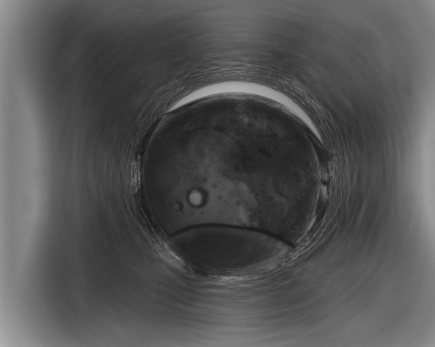 X0000116850471200912291243