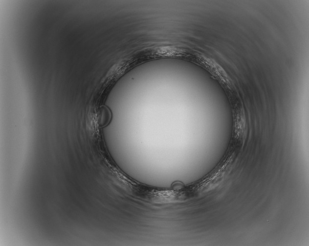 X0000116850473200912291243