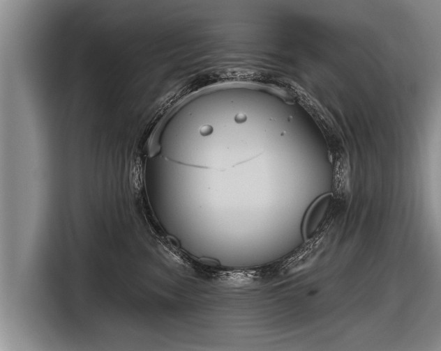 X0000116850474200912291243