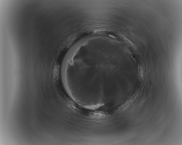 X0000116850475200912291243