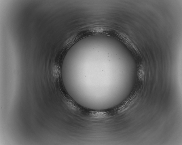 X0000116850476200912291243