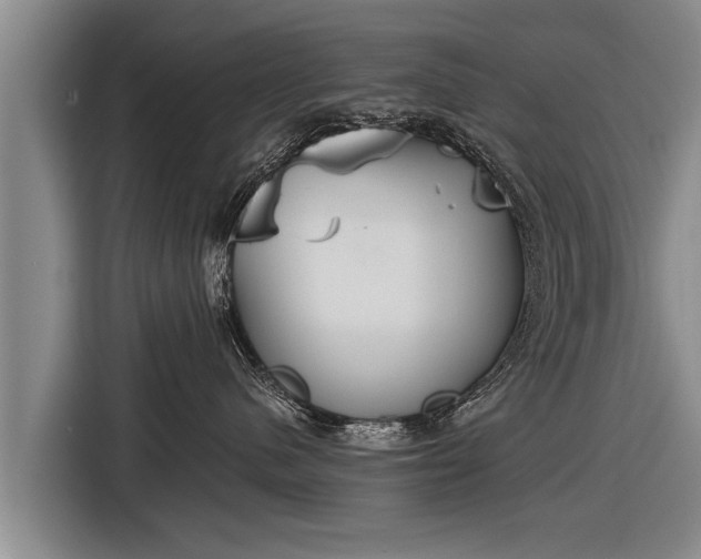 X0000116850480200912291244