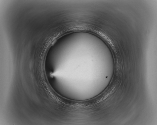 X0000116850481200912291243