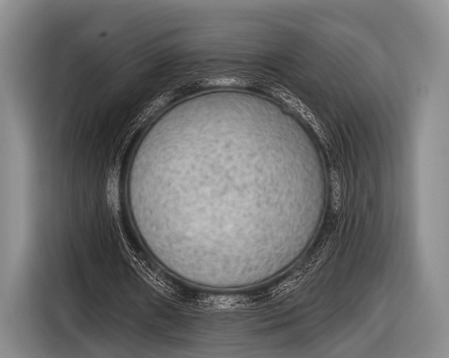 X0000116850482200912291243