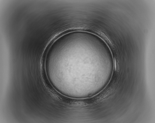 X0000116850483200912291243