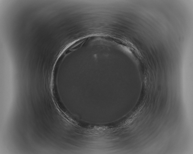 X0000116850484200912291243