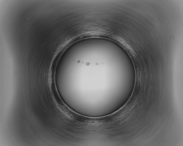 X0000116850486200912291243