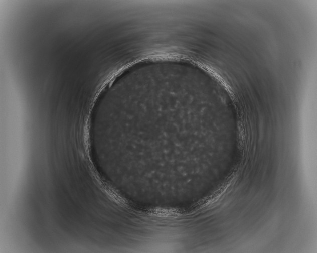 X0000116850487200912291243