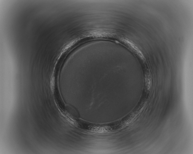 X0000116850488200912291243