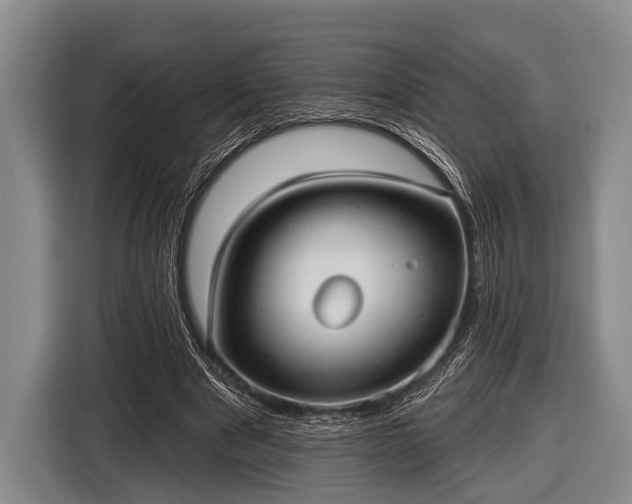 X0000116850489200912291243
