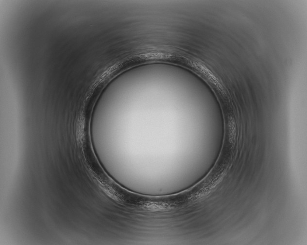 X0000116850490200912291243