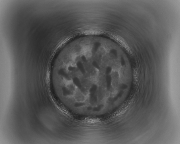 X0000116850491200912291243