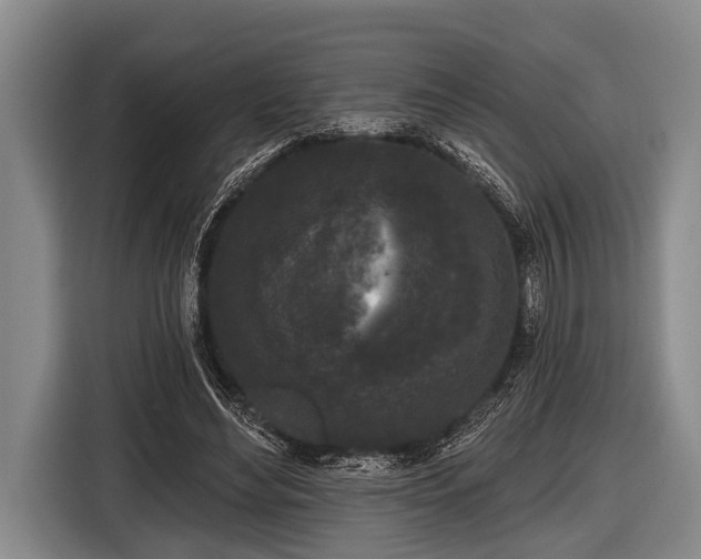 X0000116850492200912291243