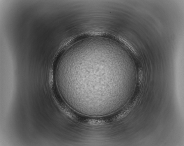 X0000116850494200912291243