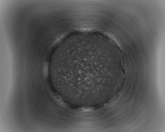 X0000116850495200912291243