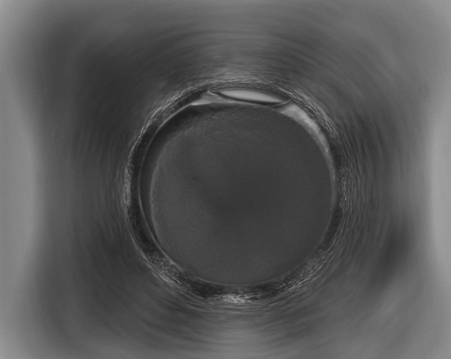 X0000116850496200912291243