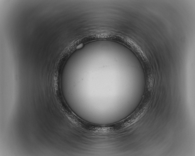 X0000116850497200912291243