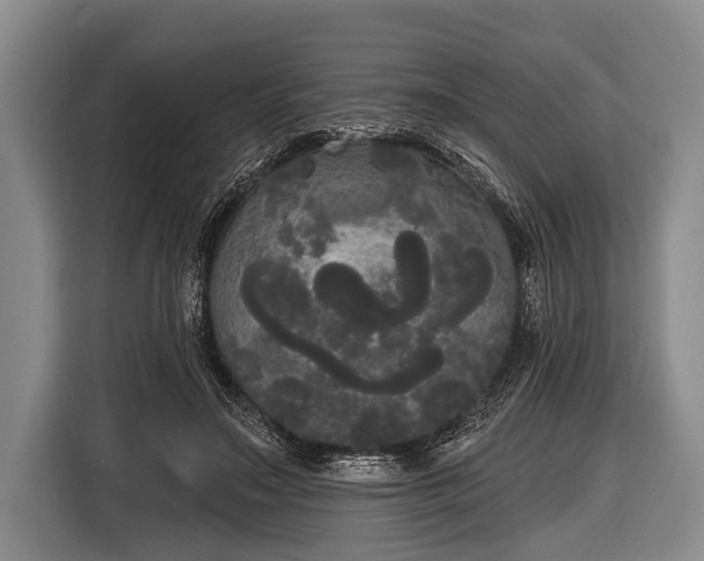 X0000116850499200912291243