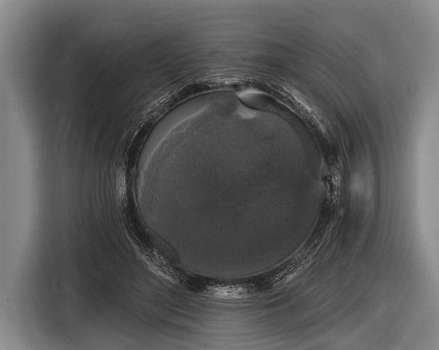 X0000116850500200912291243