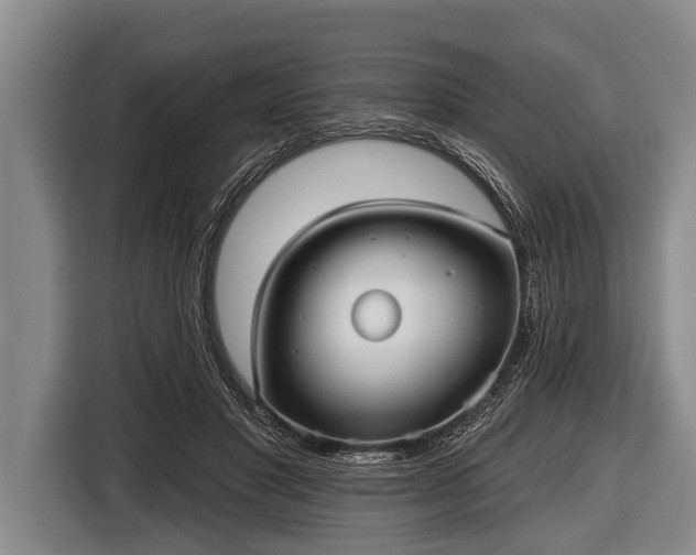 X0000116850501200912291243