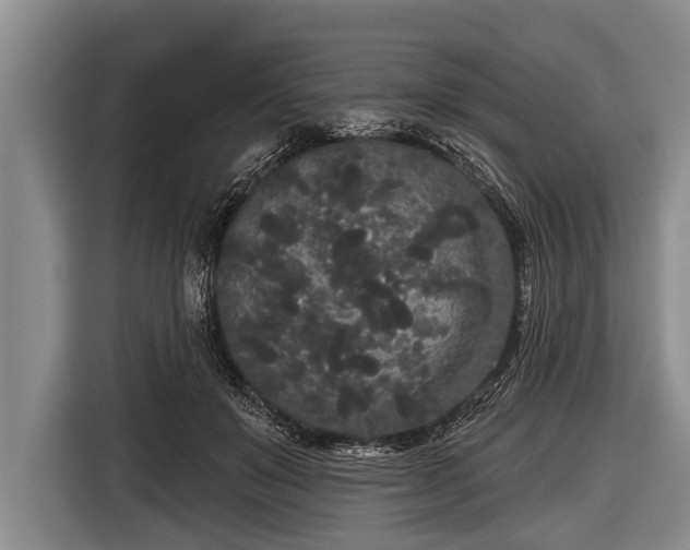X0000116850503200912291243