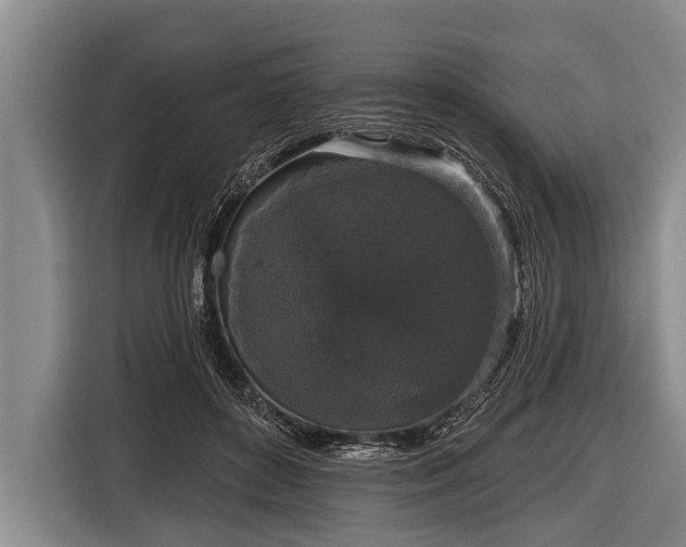 X0000116850504200912291243