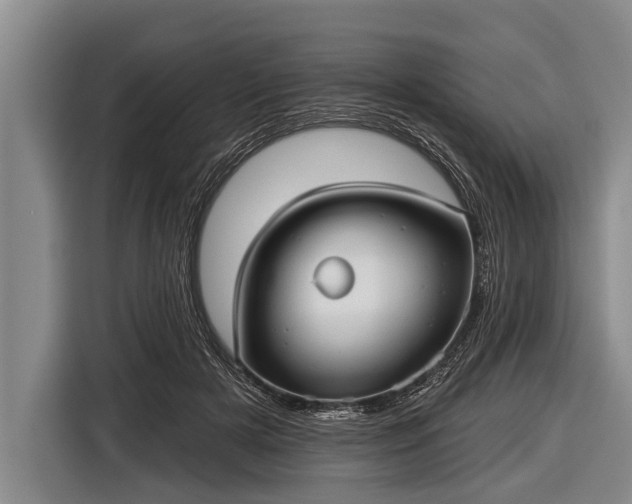 X0000116850505200912291243
