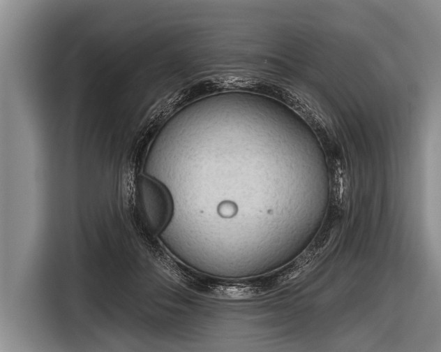 X0000116850506200912291243