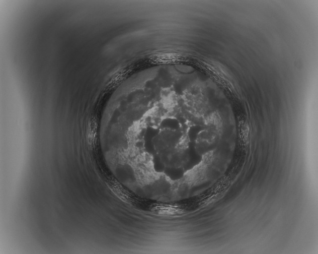 X0000116850507200912291243