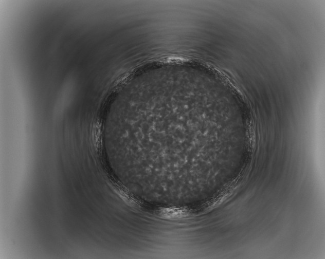 X0000116850511200912291243