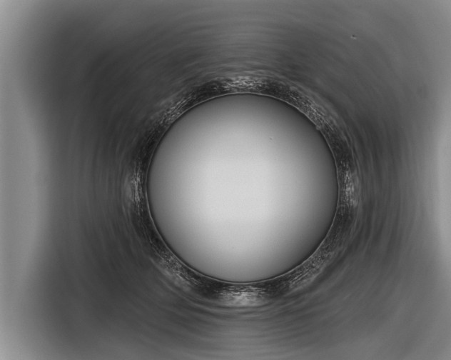 X0000116850514200912291243