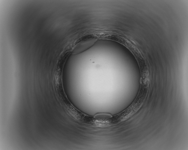 X0000116850515200912291242