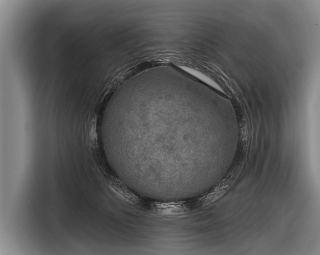 X0000116850516200912291242