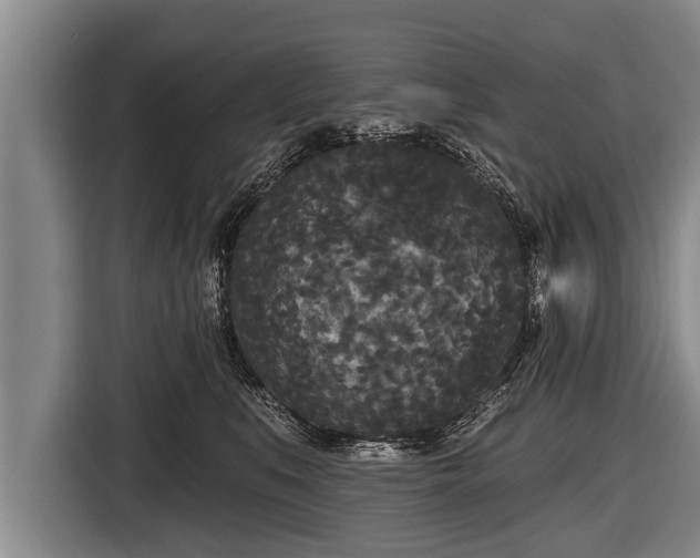 X0000116850519200912291242