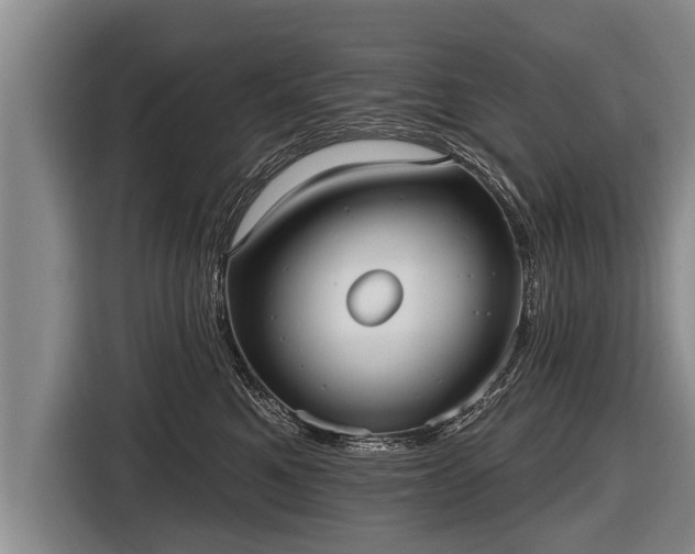 X0000116850521200912291242