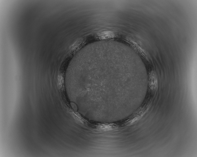 X0000116850523200912291242
