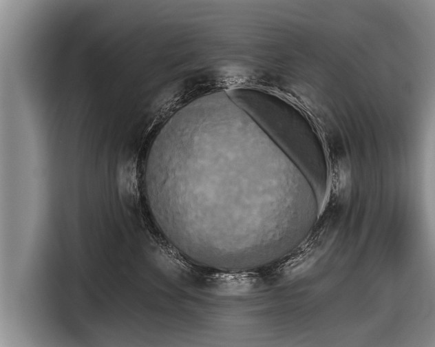 X0000116850524200912291242