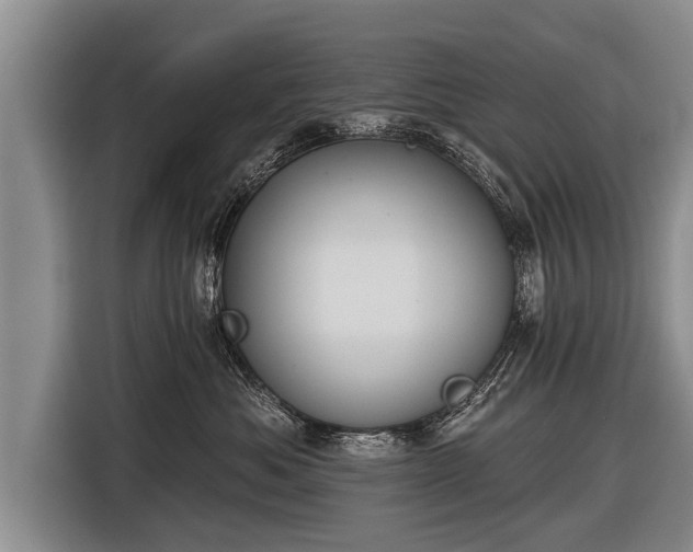 X0000116850525200912291242