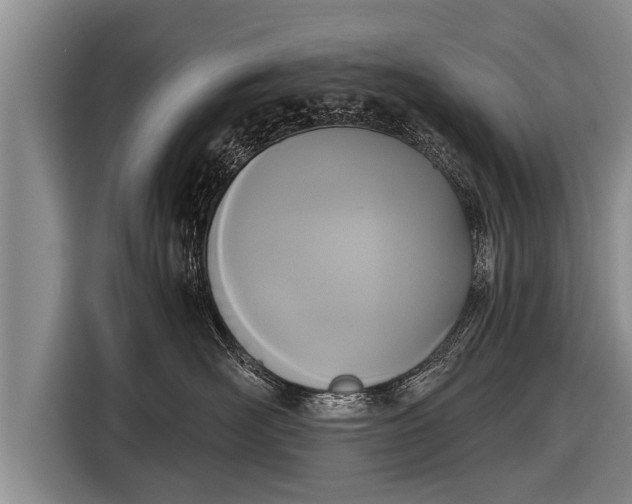 X0000116850526200912291242