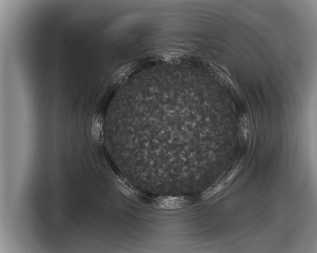 X0000116850527200912291242